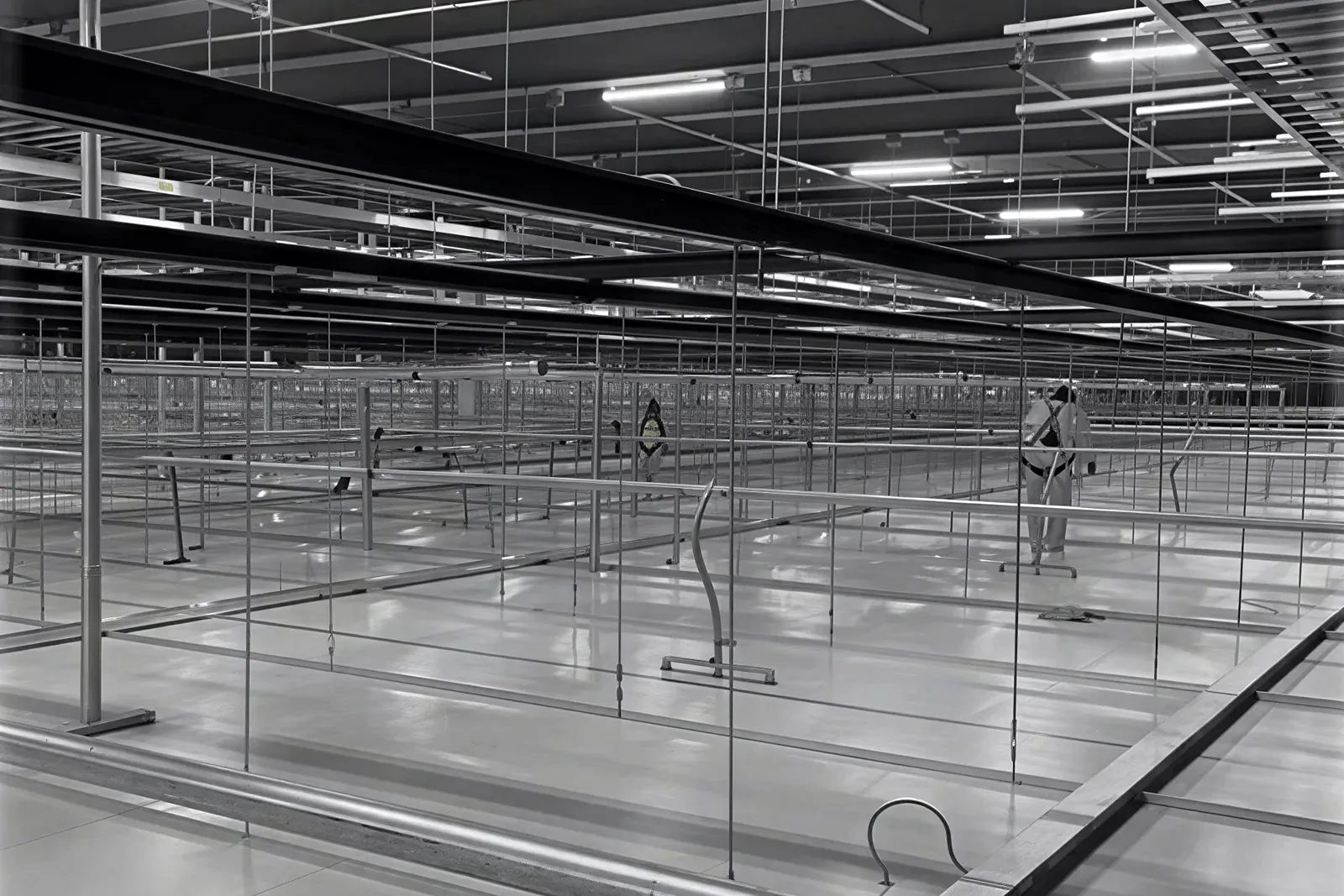 Ceiling grid during fit-out in the fab