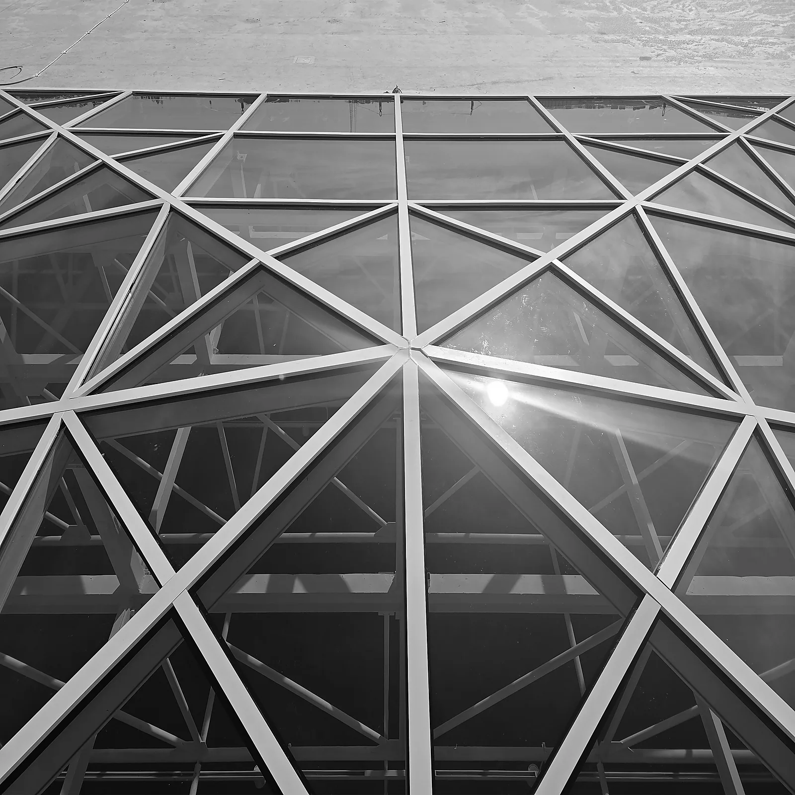 Space frame and structural glazing