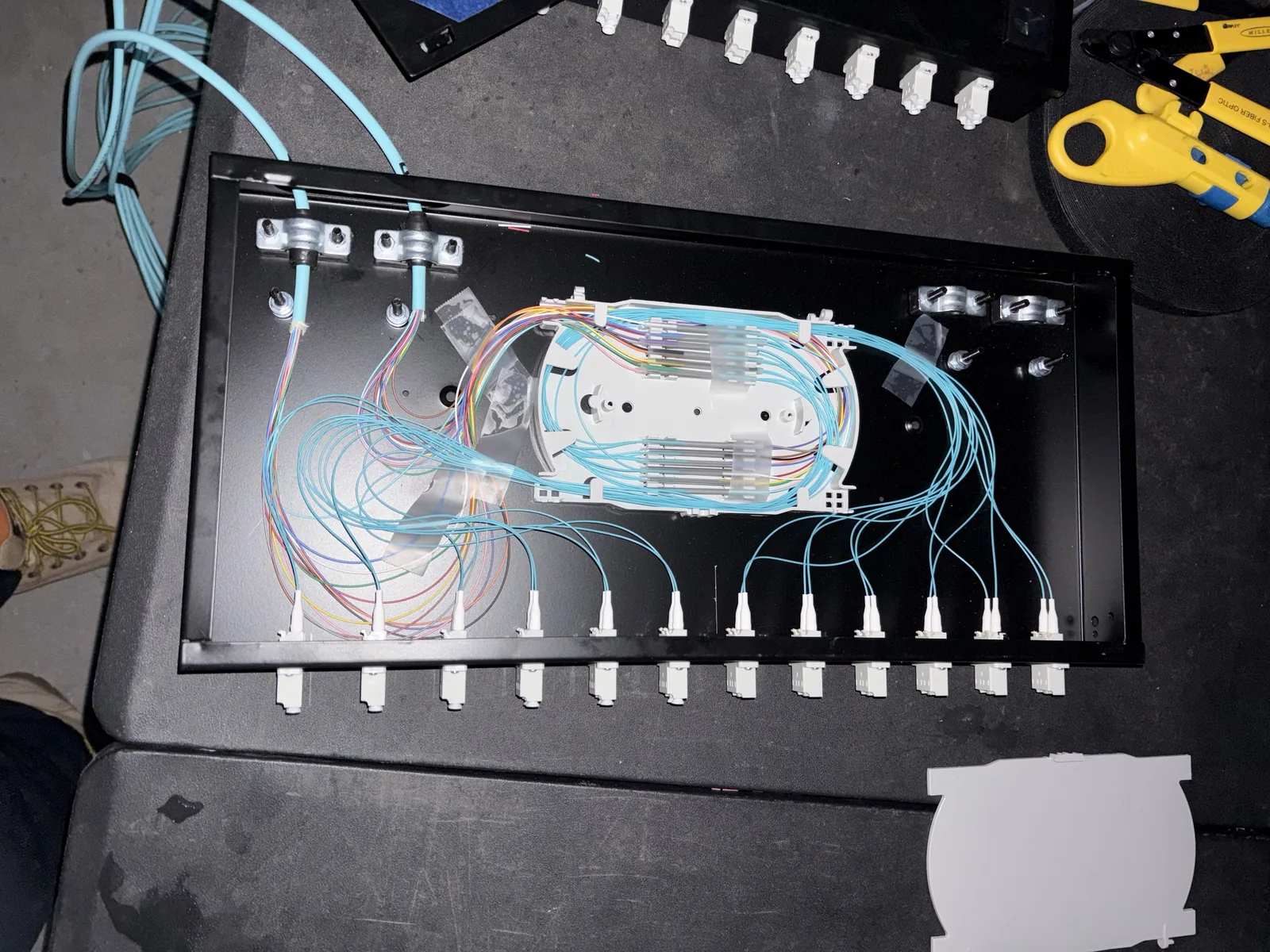 Fiber splice tray, terminated